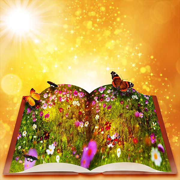 seraphim-blueprint-book-page-about-more-info